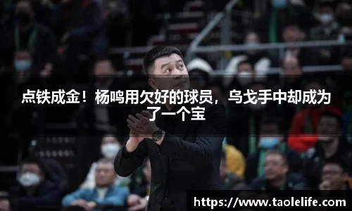 点铁成金！杨鸣用欠好的球员，乌戈手中却成为了一个宝